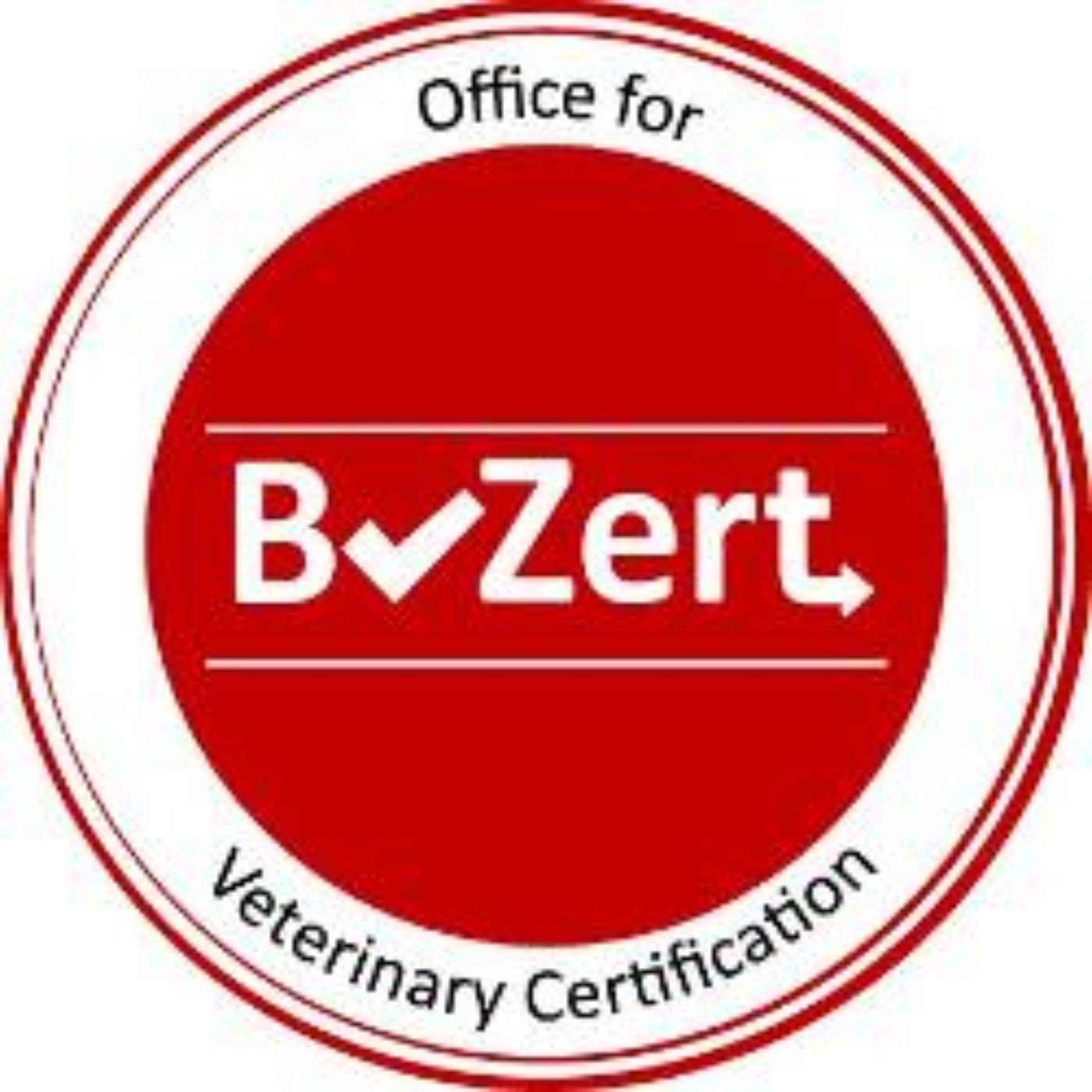 BvZert Logo