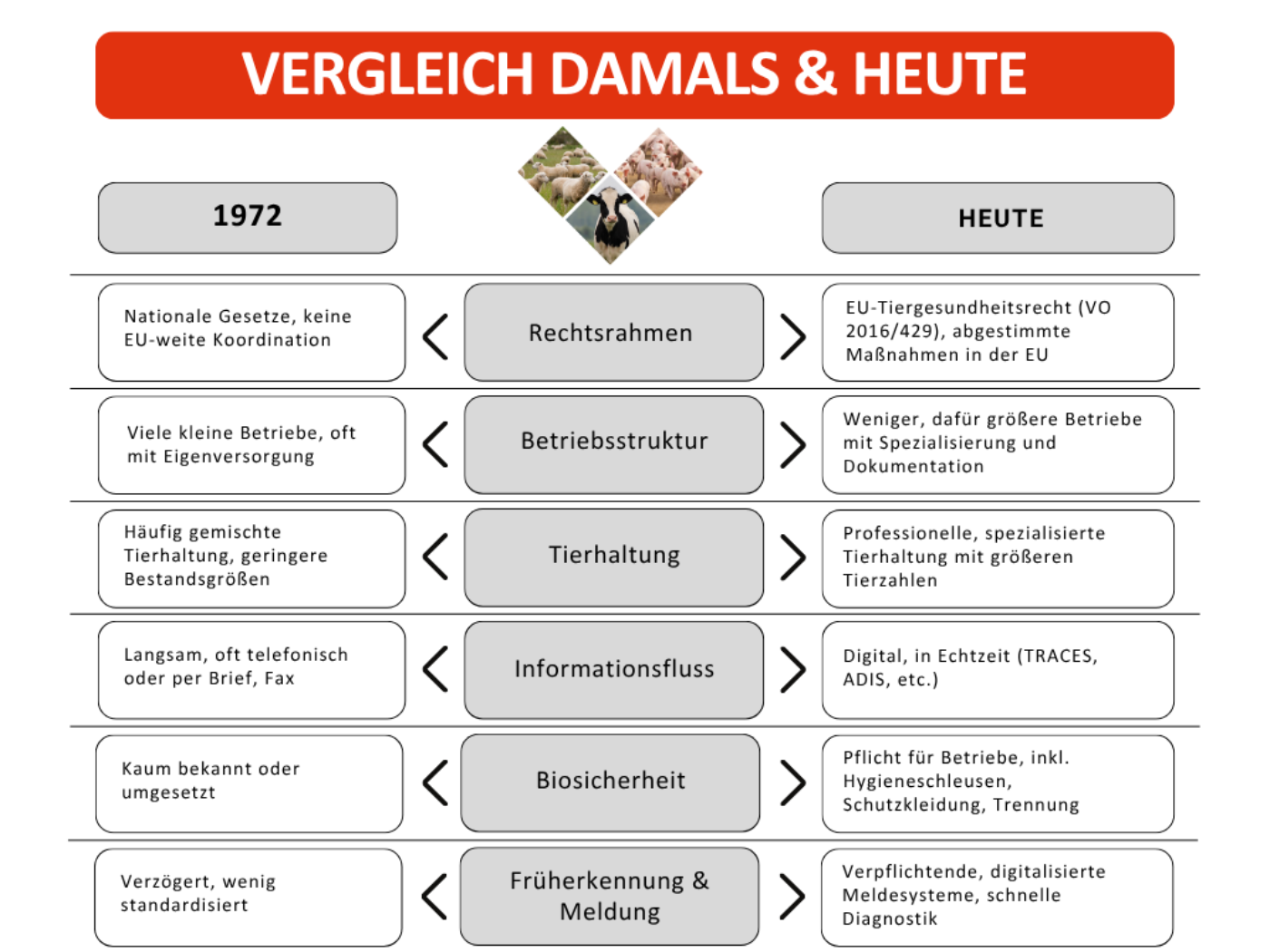Vergleich damals und heute 1