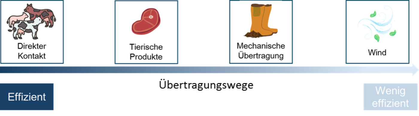 Übertragungswege MKS