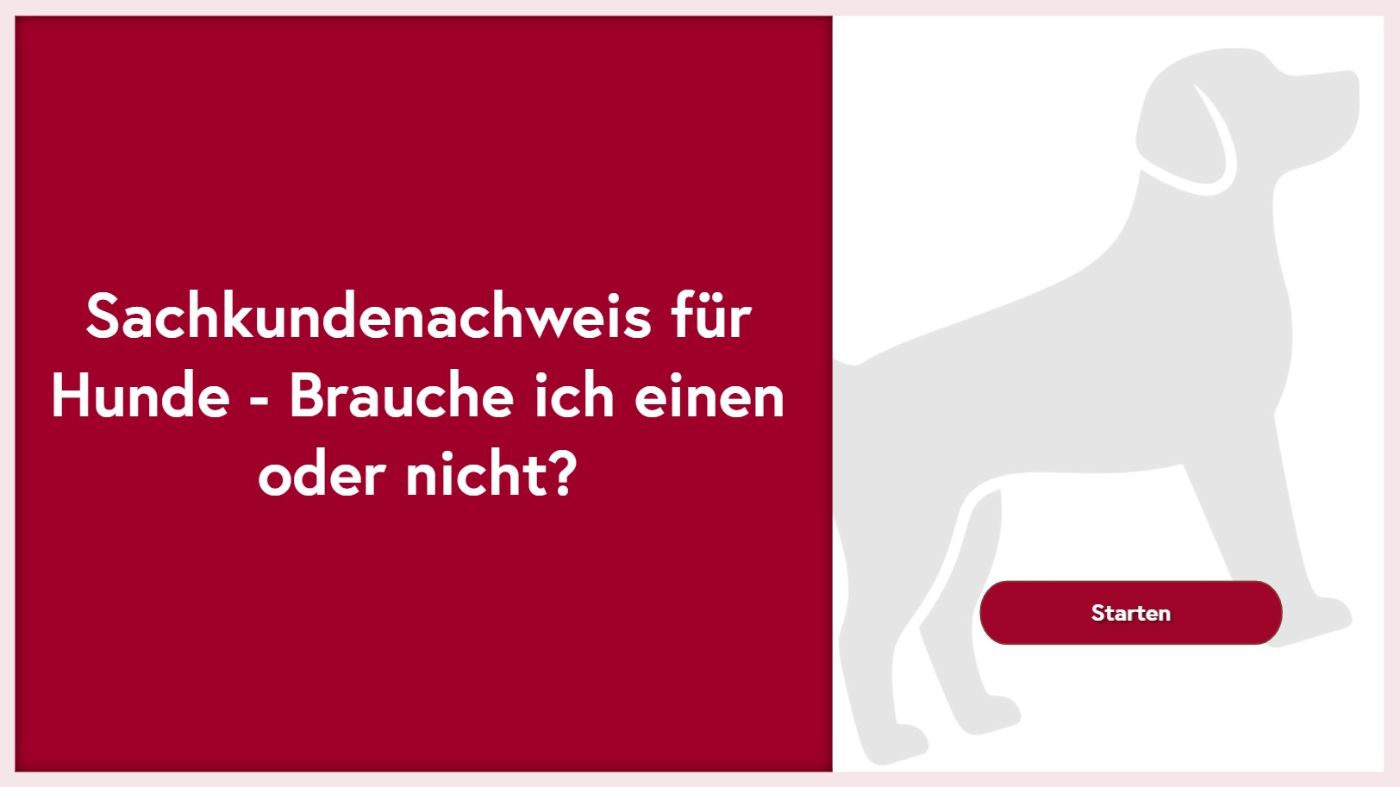 Das Bild zeigt das Titelbild der interaktiven Checkliste zum Sachkundenachweis für die Haltung von Hunden. 