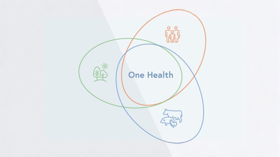 Karussell - One Health