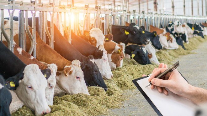 Kachelfoto - Kontrollsystem Bio