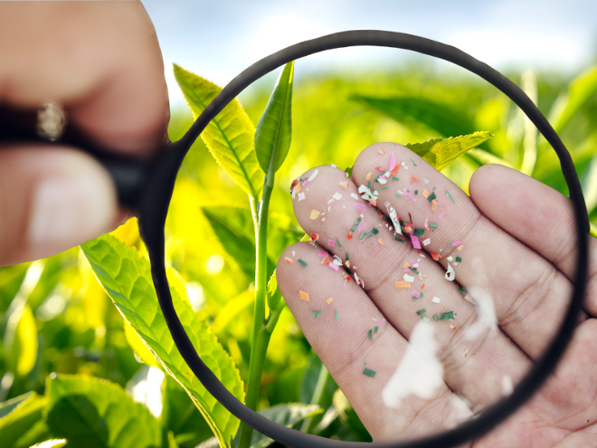 REGELUNGEN - Mikroplastik