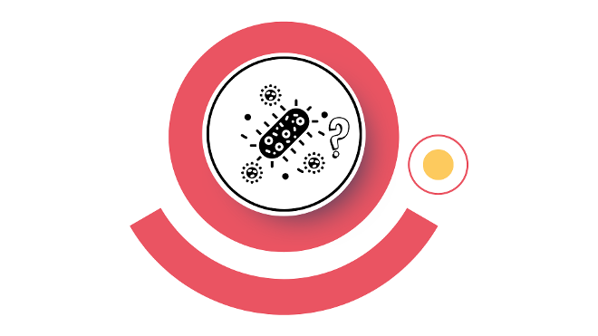 Notfallplan - Verdacht und Meldung BH