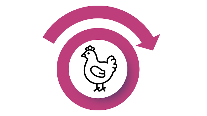 Notfallplan - Wiederbelegung