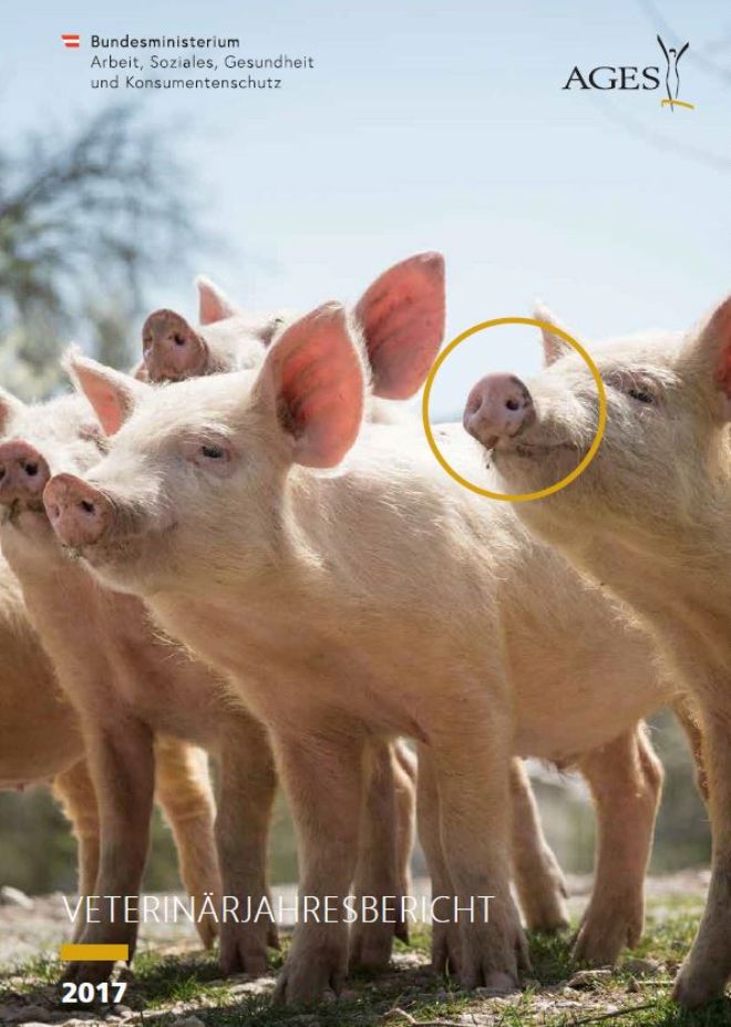 Veterinärjahresbericht 2017