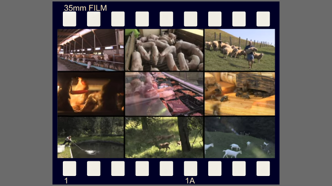 TGD Programme - Imagefilm TGD