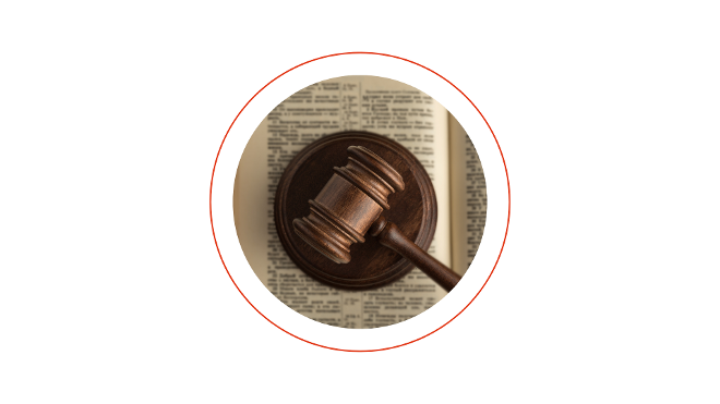 Tierschutz - Gesetz, Berichte, Arbeitsplan