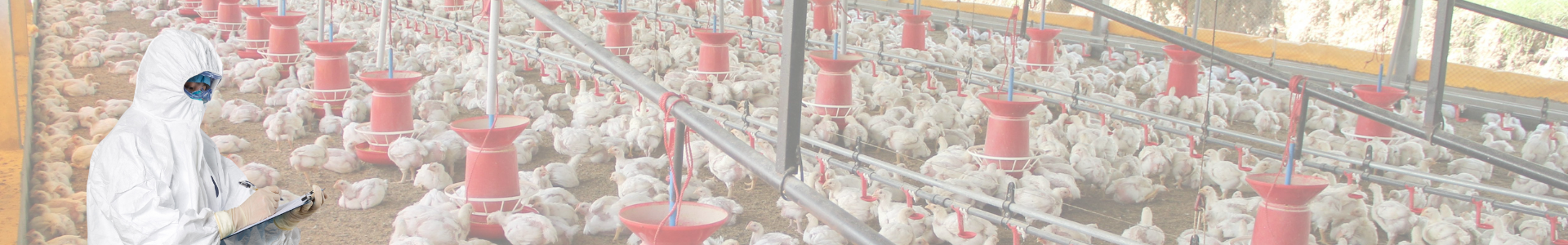 Kopie von Banner - Epidemiologische Untersuchung