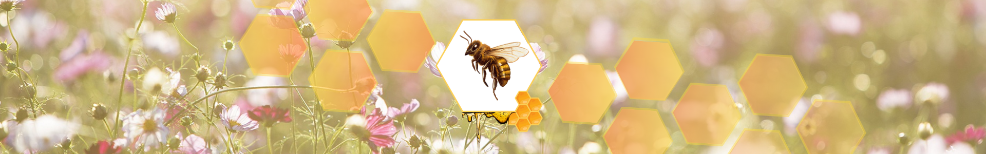 Banner - Bienen