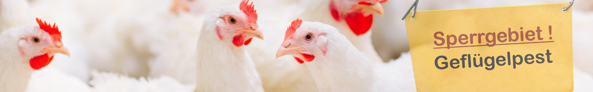 Kopie von Banner - Sperrzonen